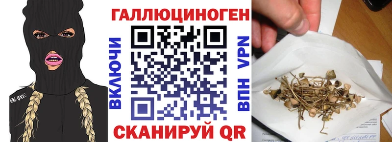 цена   Ишимбай  Галлюциногенные грибы Psilocybe 
